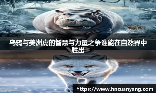 九游娱乐
